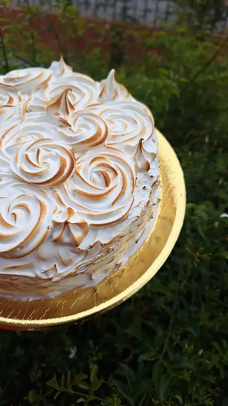 ROGEL