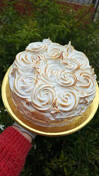 ROGEL